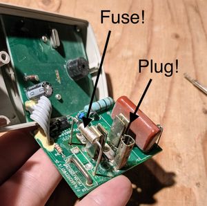 Female plug part of the circuit and the fuse